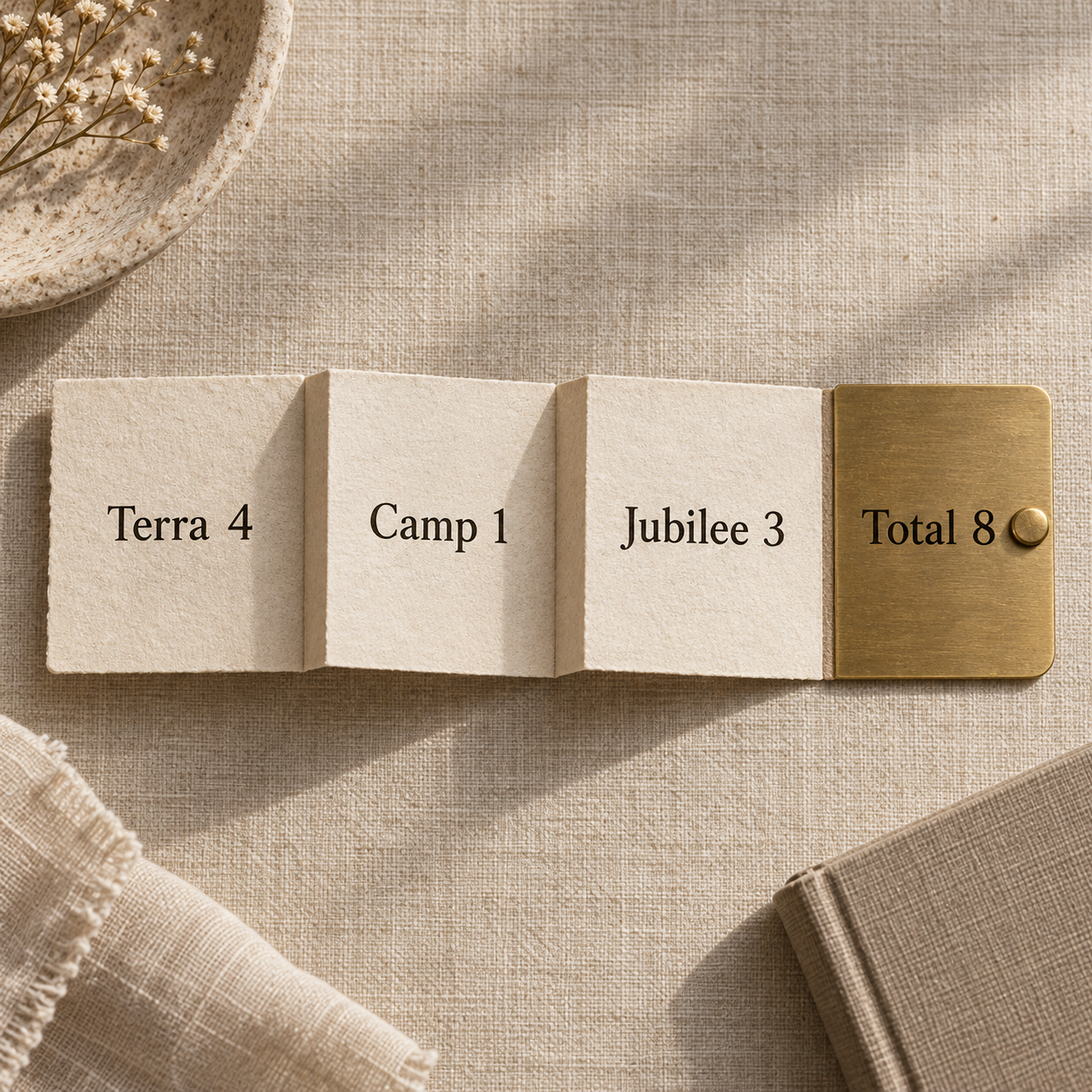 Accordion itinerary comparing four Terra programmes, one cross-listed camp and three Jubilee concerts